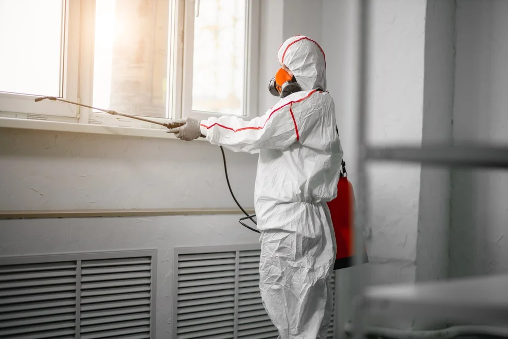 Professional mold remediation services in Dublin, NH